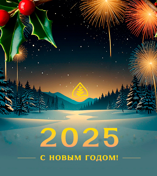 Септик Хаус поздравляет с наступающим Новым Годом! картинка