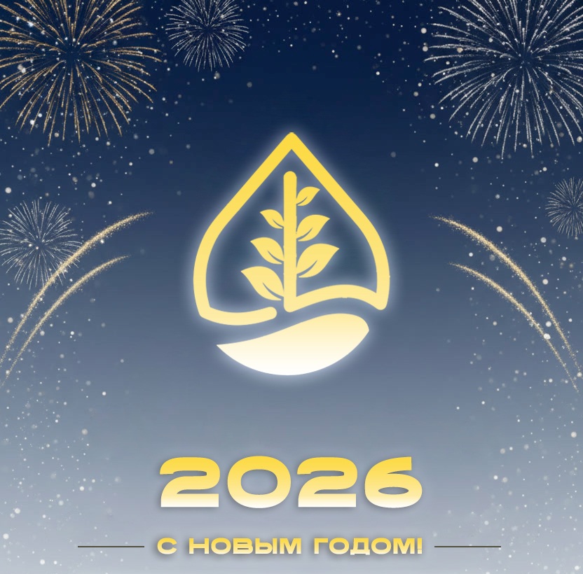 Септик Хаус поздравляет с наступающим Новым Годом 2026! картинка